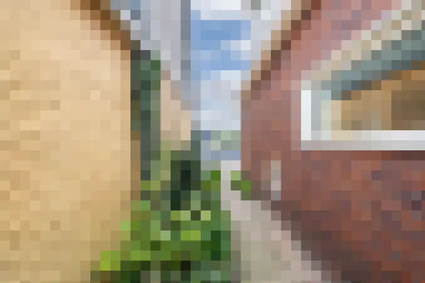 Turfland 6 Lemmer thumbnail 42