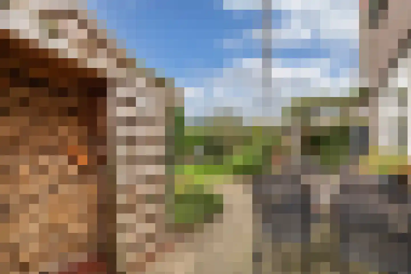 Turfland 6 Lemmer thumbnail 47