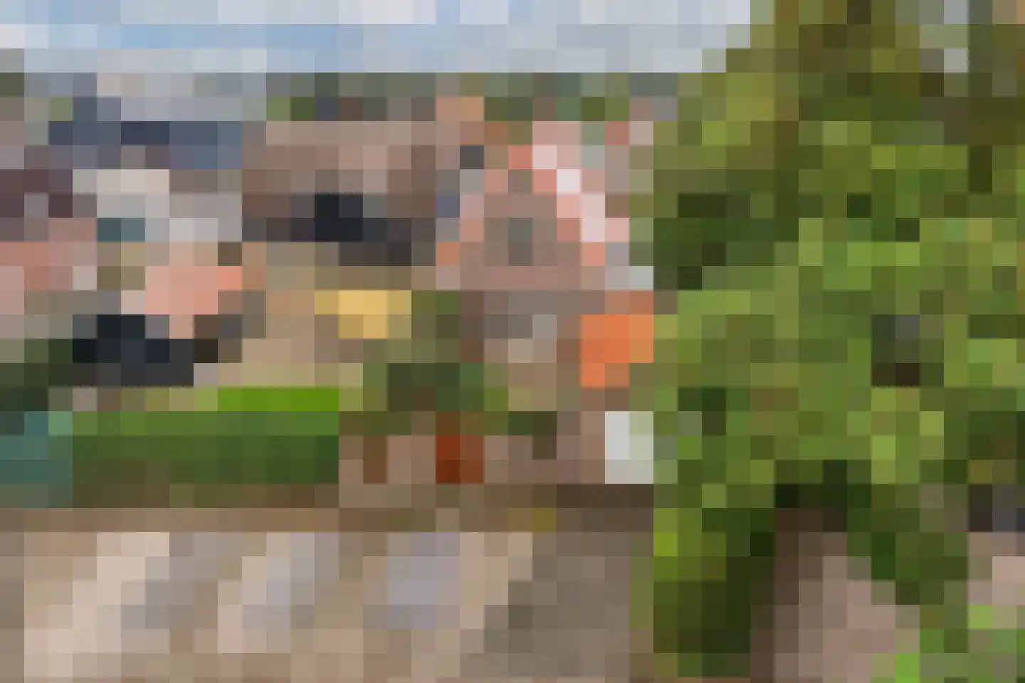 Turfland 6 Lemmer thumbnail 53