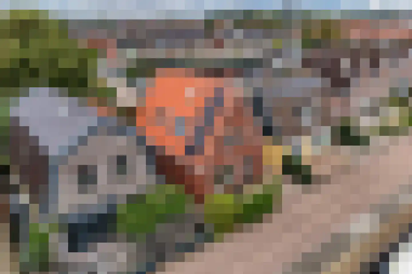 Turfland 6 Lemmer thumbnail 63