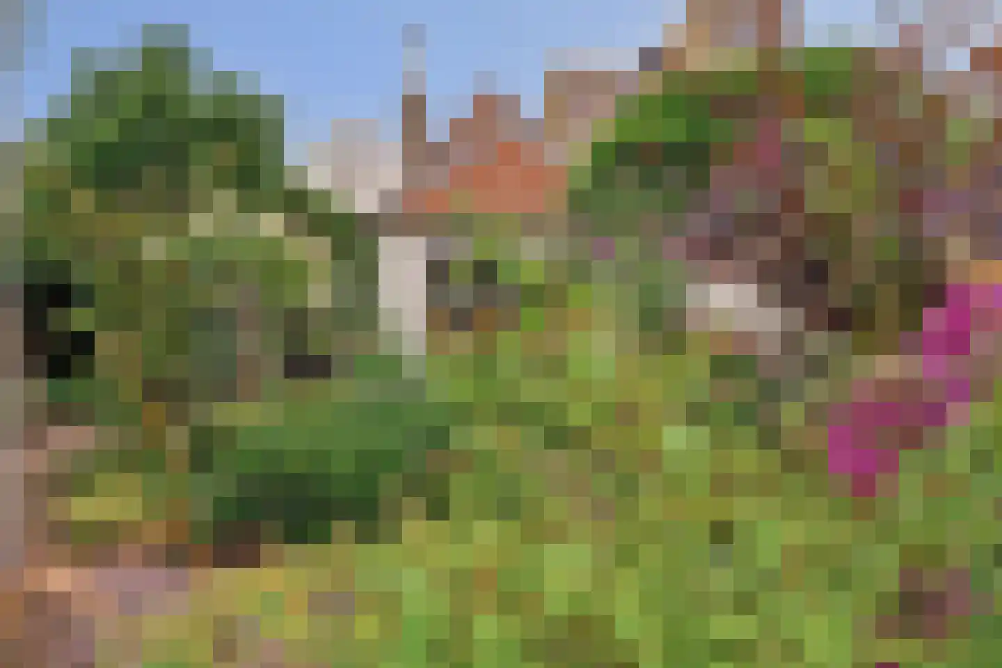 Turfmarkt 102 Gouda thumbnail 42