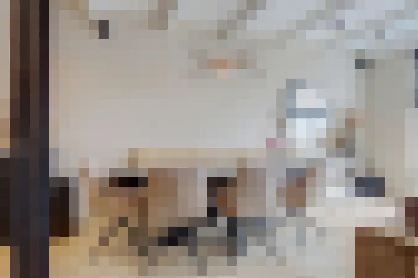 Turfmarkt 2 c Gouda thumbnail 12