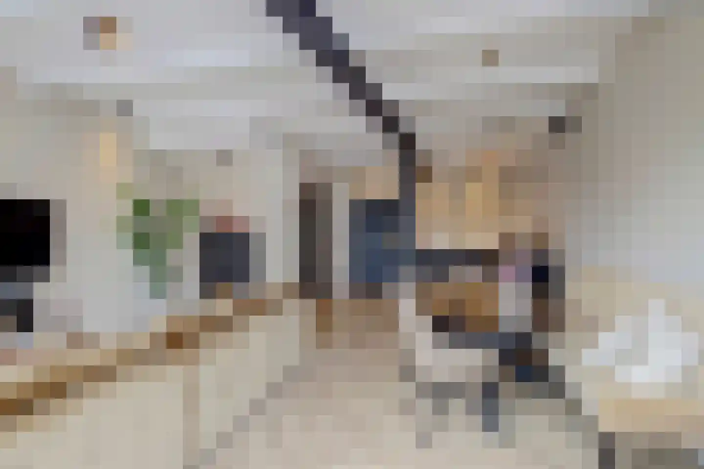 Turfmarkt 2 c Gouda thumbnail 13