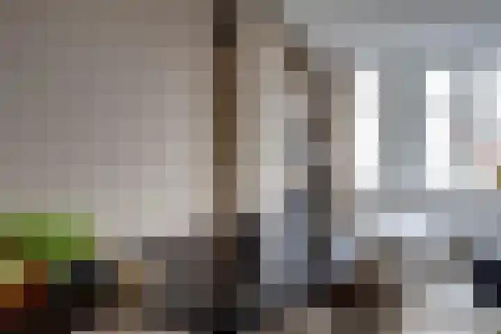 Turfmarkt 2 e Gouda thumbnail 22