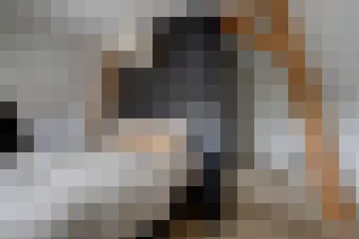 Turfmarkt 2 e Gouda thumbnail 28