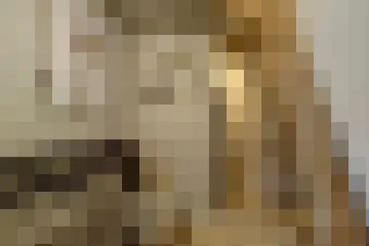 Turfmarkt 2 e Gouda thumbnail 34