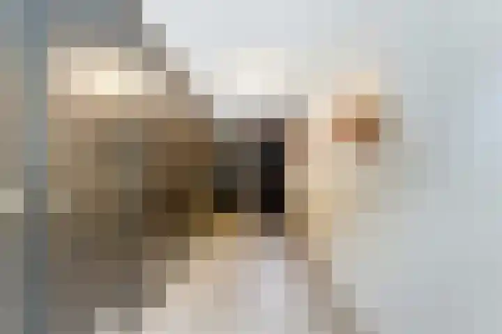 Turfmarkt 2 e Gouda thumbnail 4