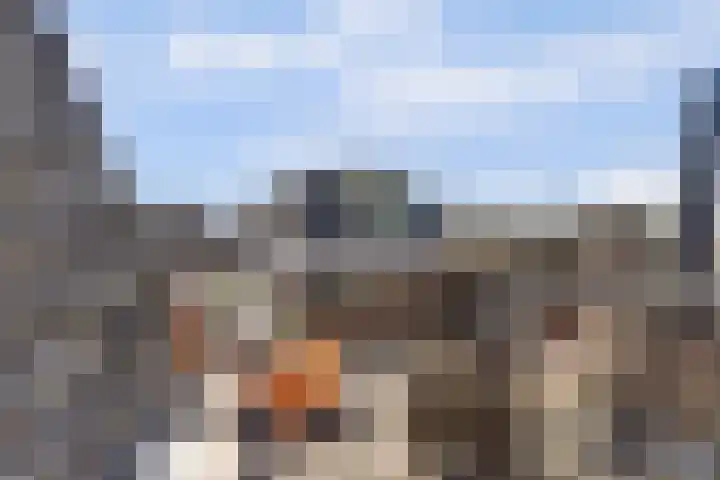 Turfmarkt 2 e Gouda thumbnail 45