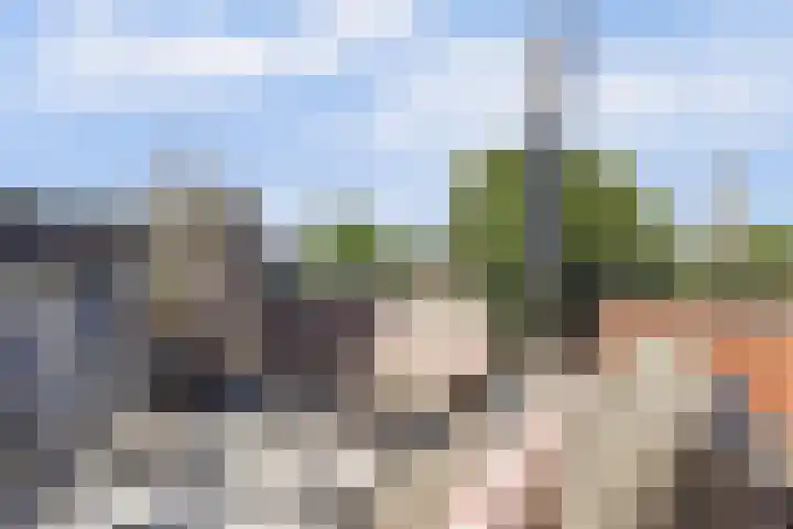 Turfmarkt 2 e Gouda thumbnail 46