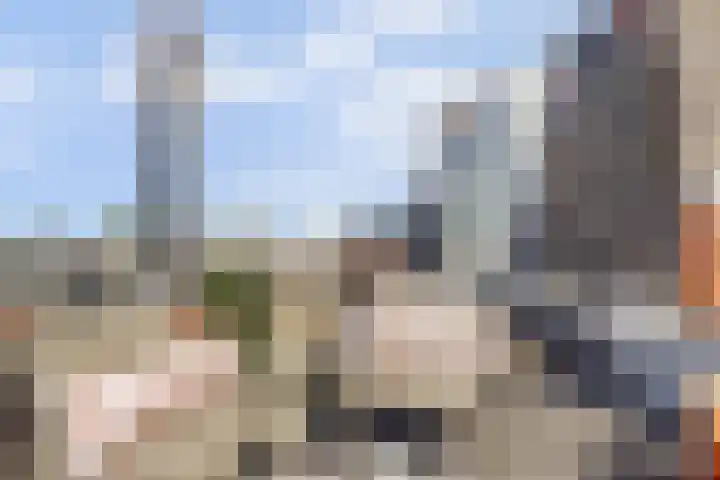 Turfmarkt 2 e Gouda thumbnail 47