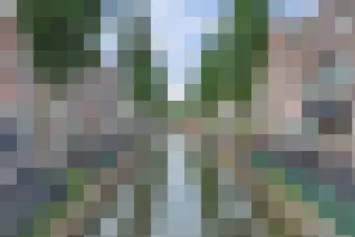 Turfmarkt 2 e Gouda thumbnail 55