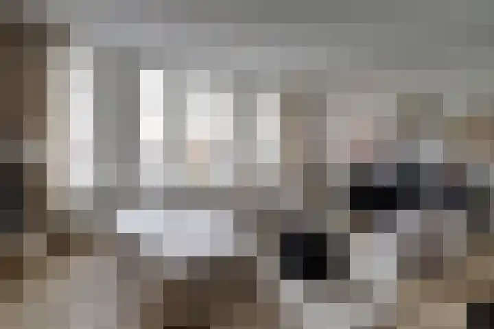 Turfmarkt 2 e Gouda thumbnail 8
