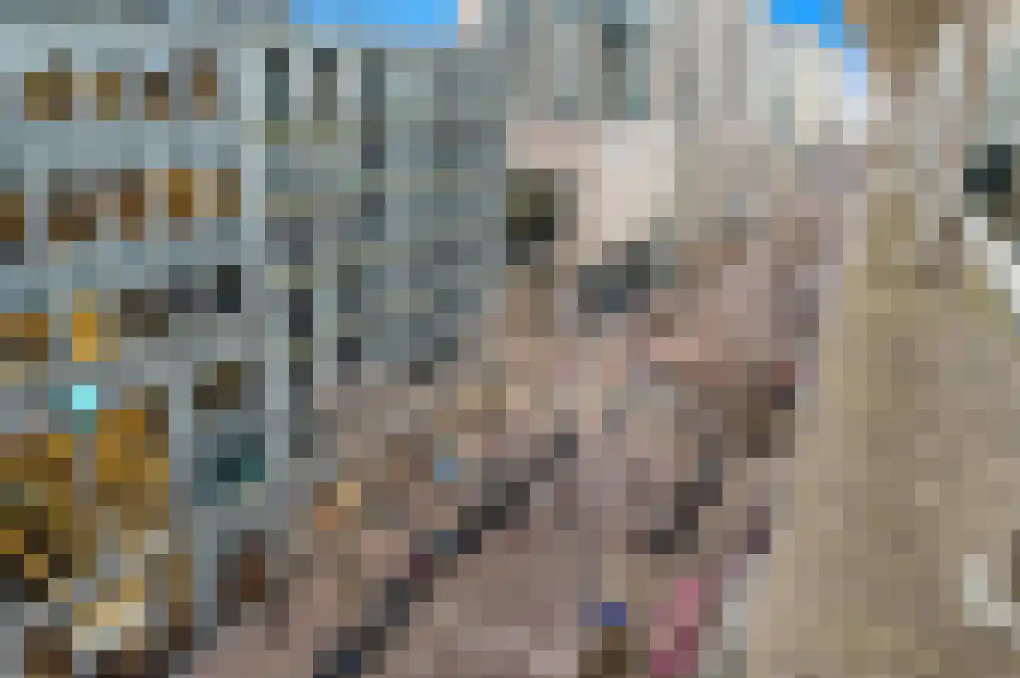 Turfmarkt 216 Den Haag thumbnail 34
