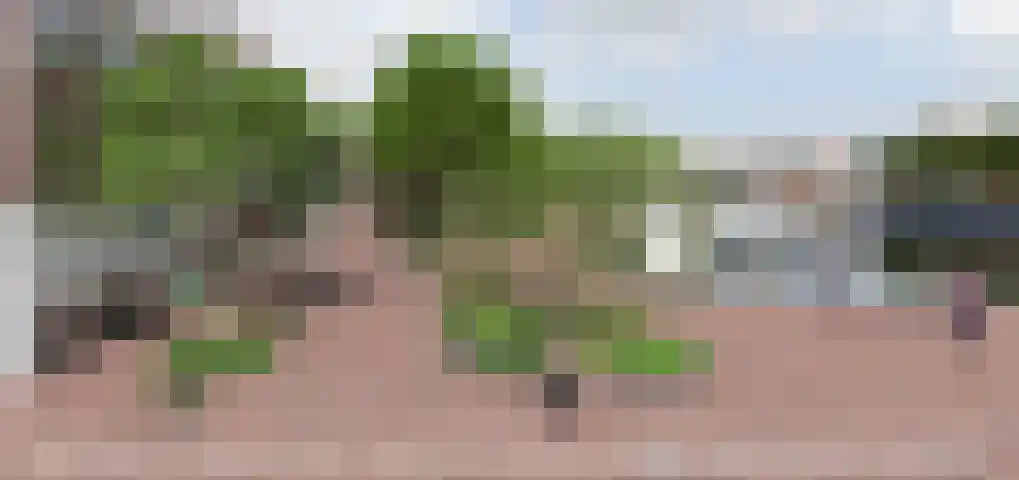 Turfmarkt 3 G Leiden thumbnail 26