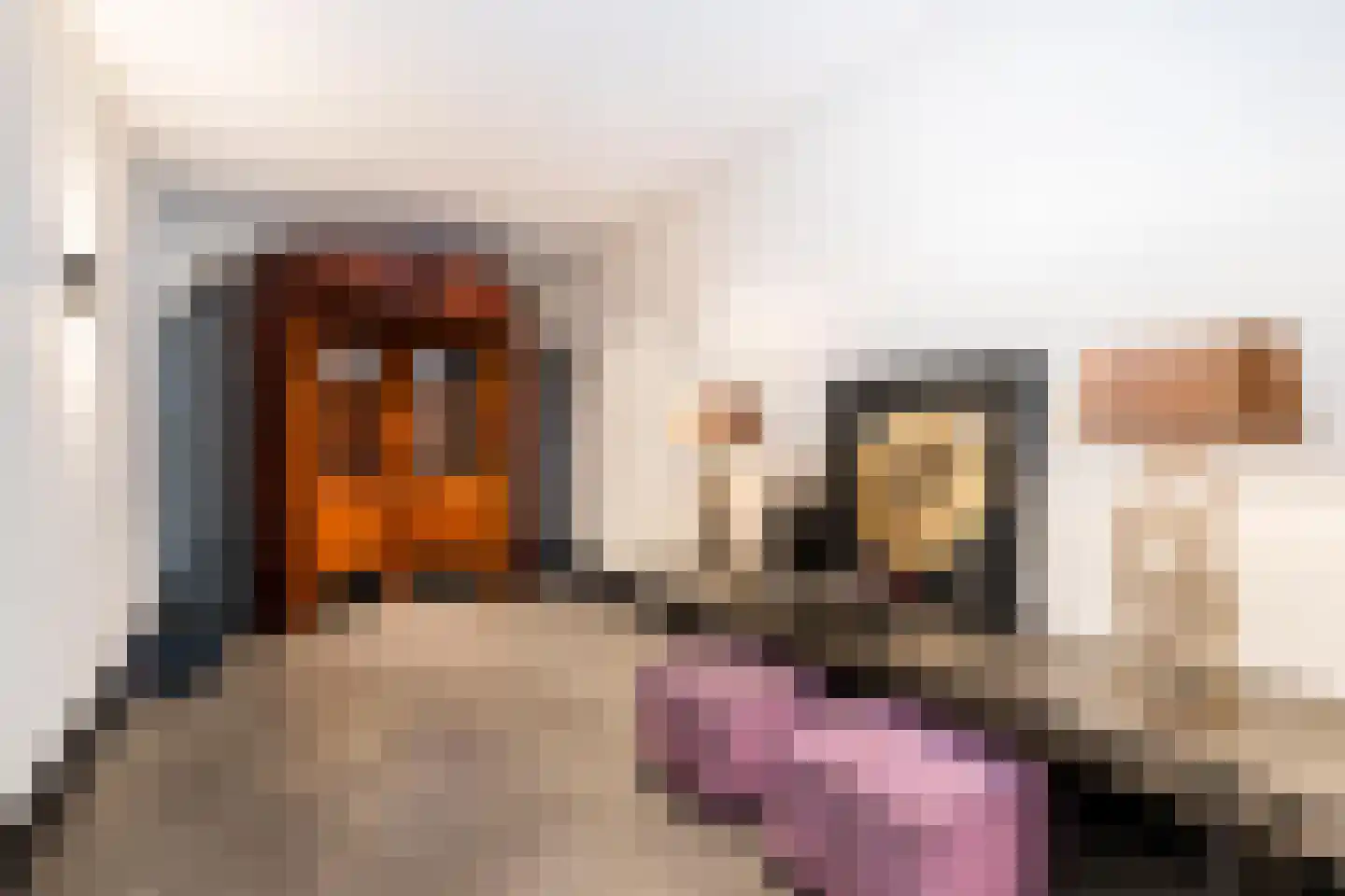 Turfmarkt 30 Gouda thumbnail 8