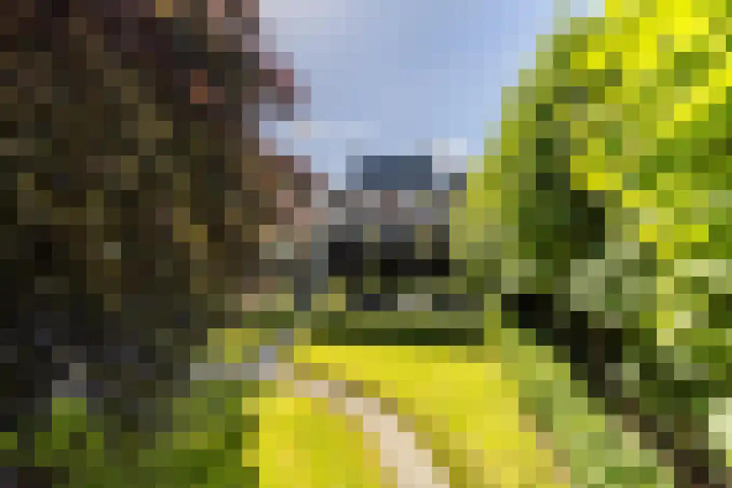 Turfmarkt 30 Gouda thumbnail 80