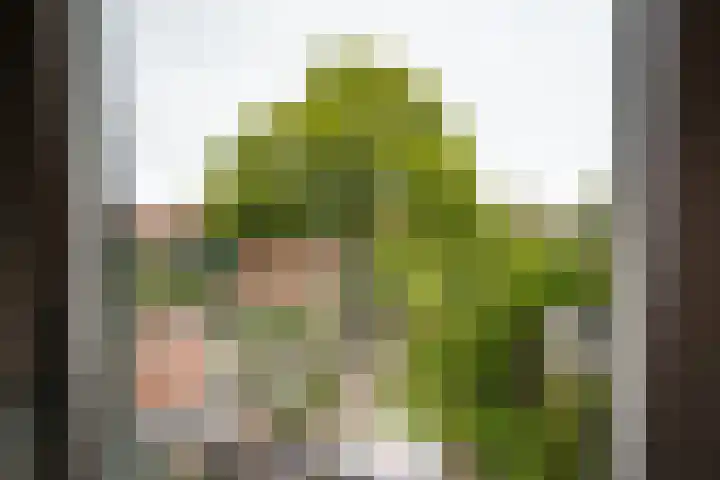 Turfmarkt 31 Makkum thumbnail 30