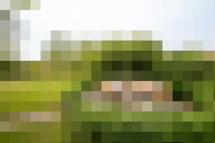 Turfmarkt 31 Makkum thumbnail 4