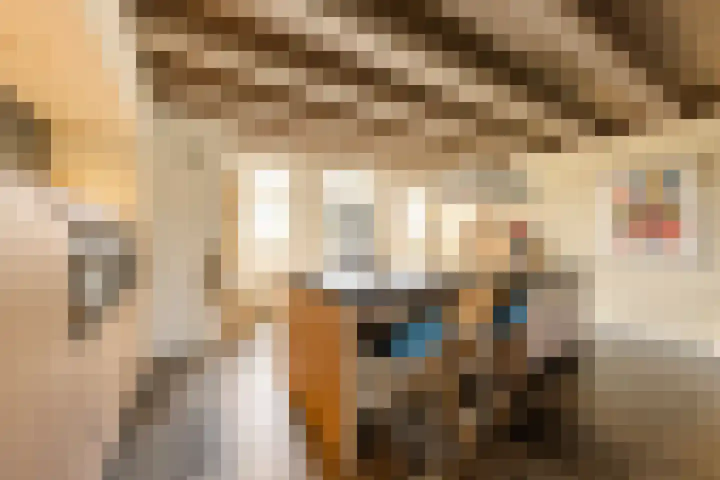 Turfmarkt 57 Makkum thumbnail 15