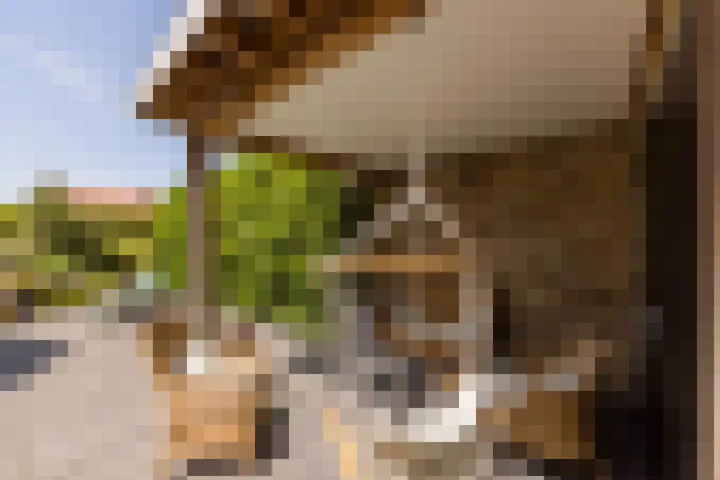 Turfmarkt 57 Makkum thumbnail 42