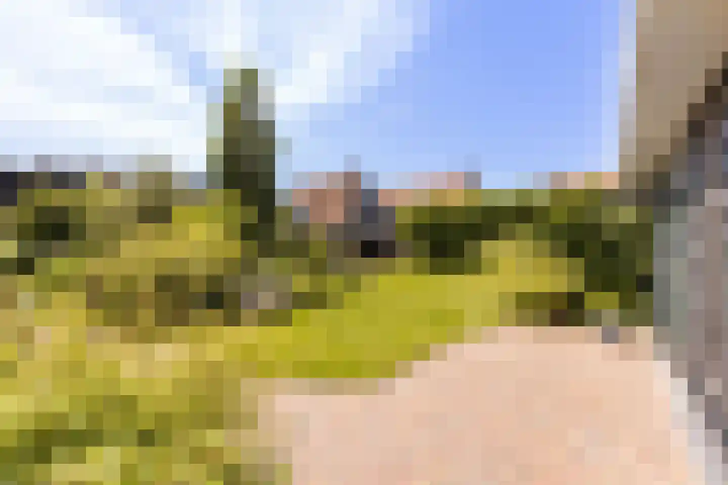Turfmarkt 57 Makkum thumbnail 56