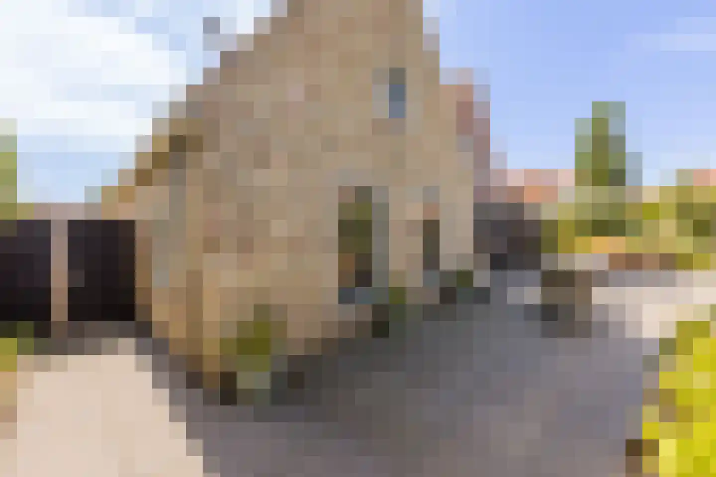 Turfmarkt 57 Makkum thumbnail 57