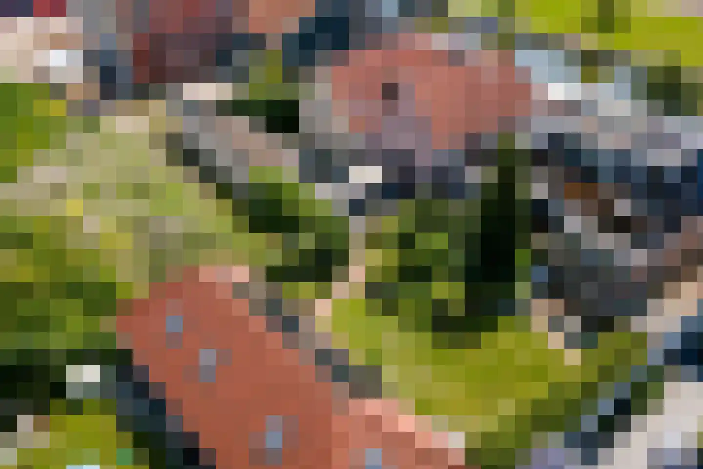 Turfmarkt 57 Makkum thumbnail 58
