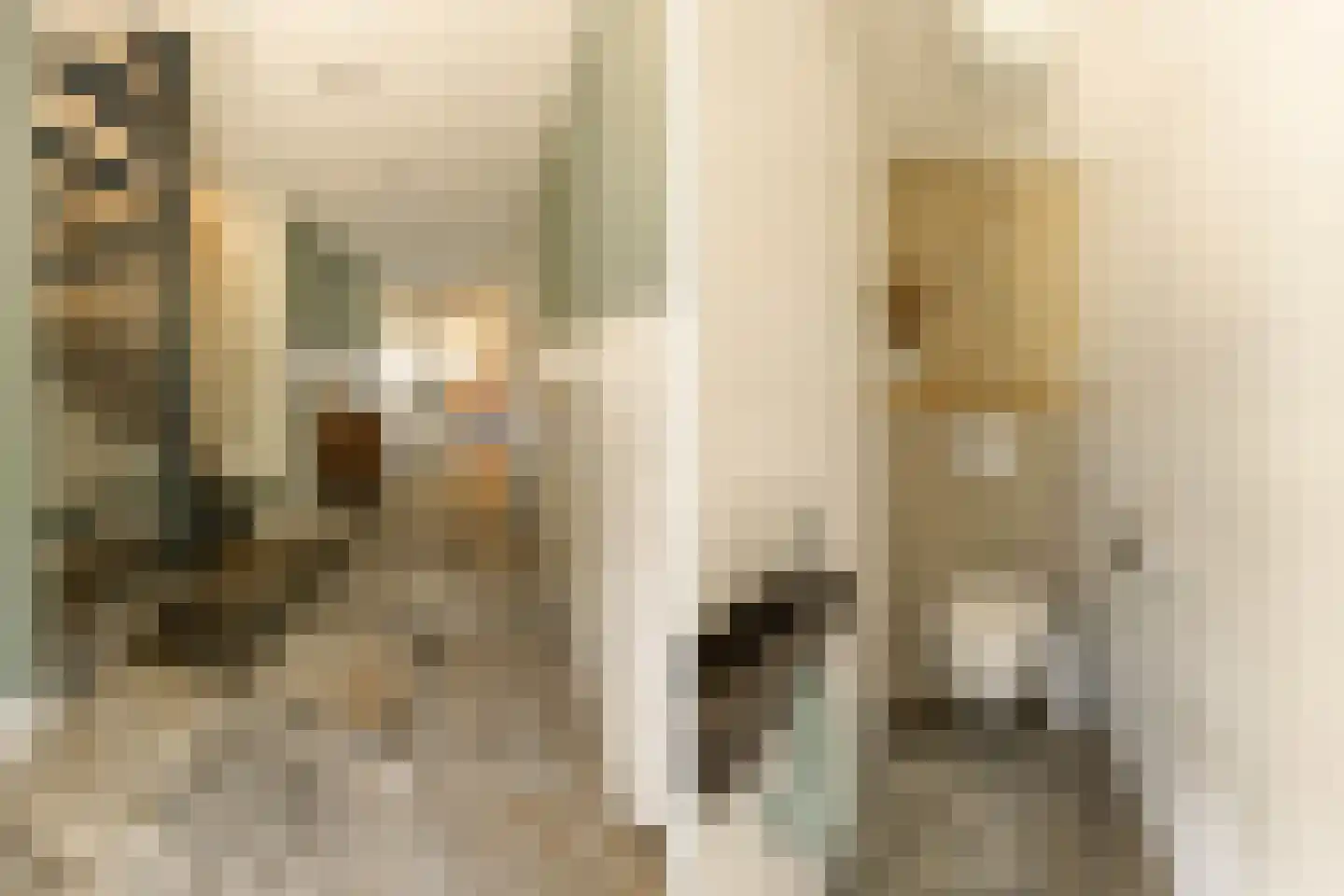 Turfmarkt 57 Makkum thumbnail 8