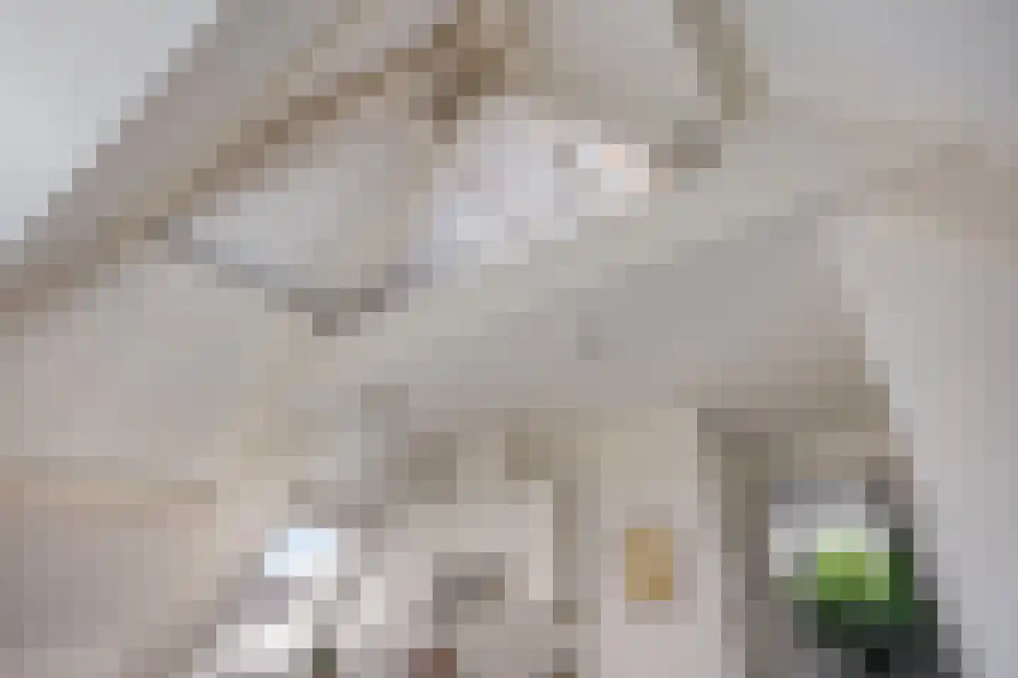 Turfmarkt 7 E Leiden thumbnail 19
