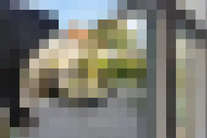 Turfmarkt 9 Makkum thumbnail 14