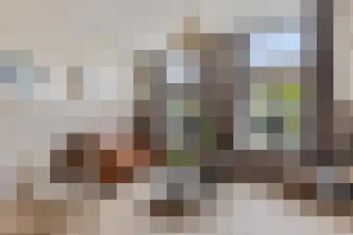 Turfmarkt 9 Makkum thumbnail 5