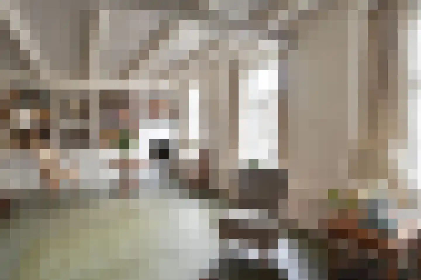 Turfpoortstraat 39 Naarden thumbnail 16