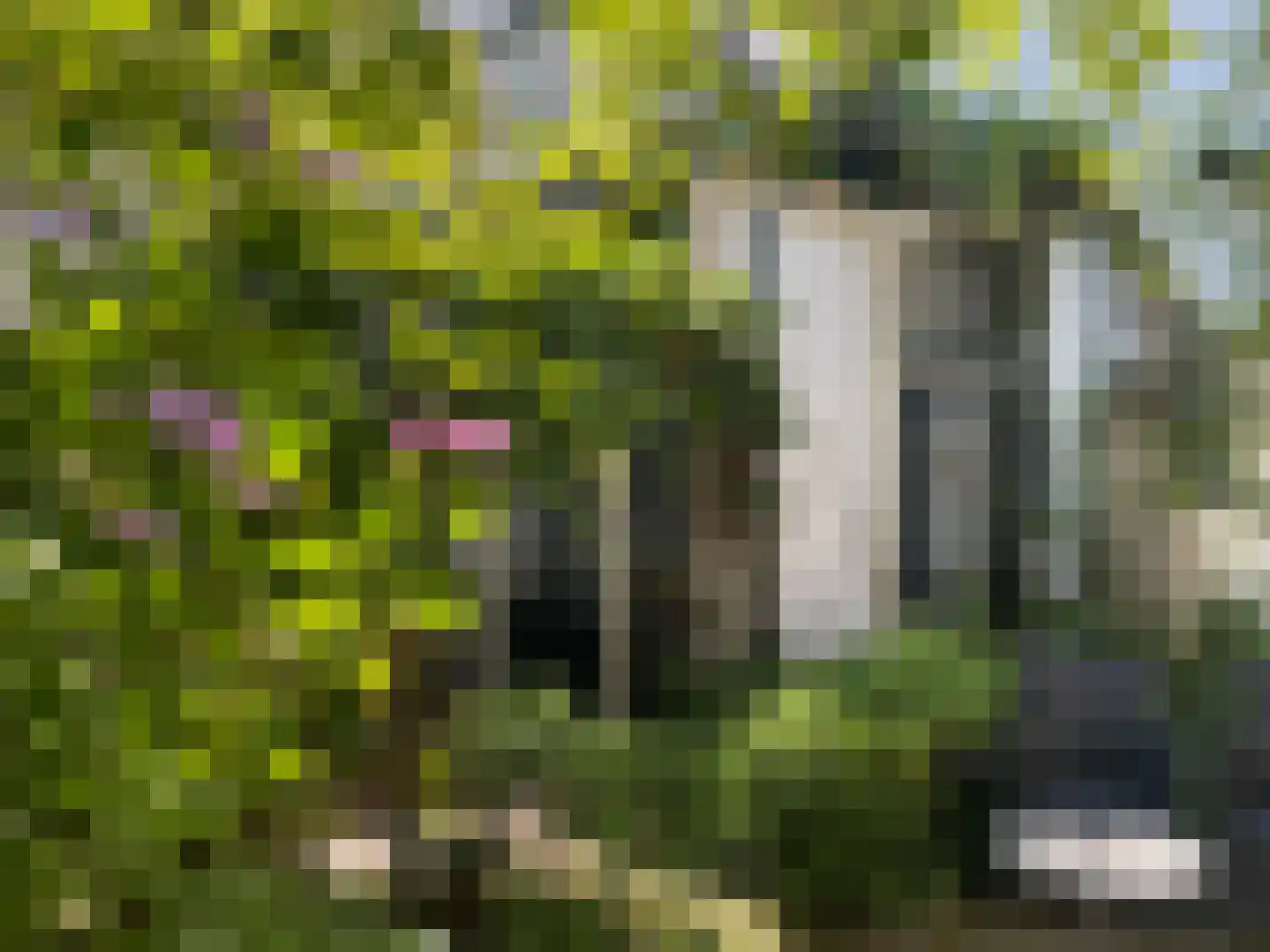 Turfpoortstraat 39 Naarden thumbnail 31