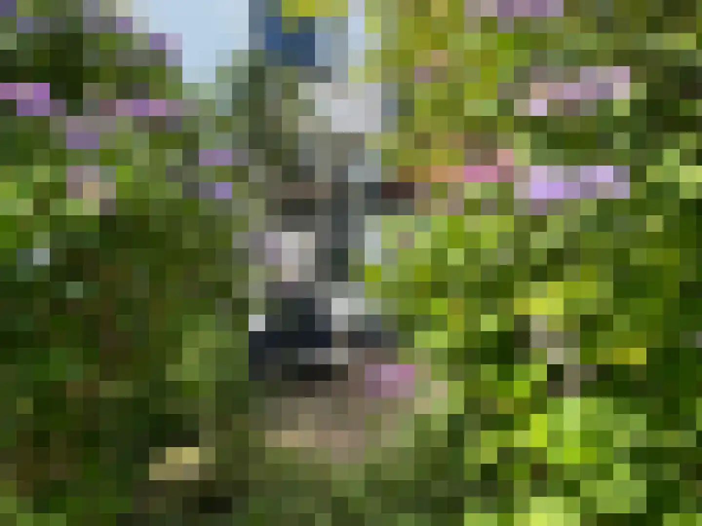 Turfpoortstraat 39 Naarden thumbnail 33