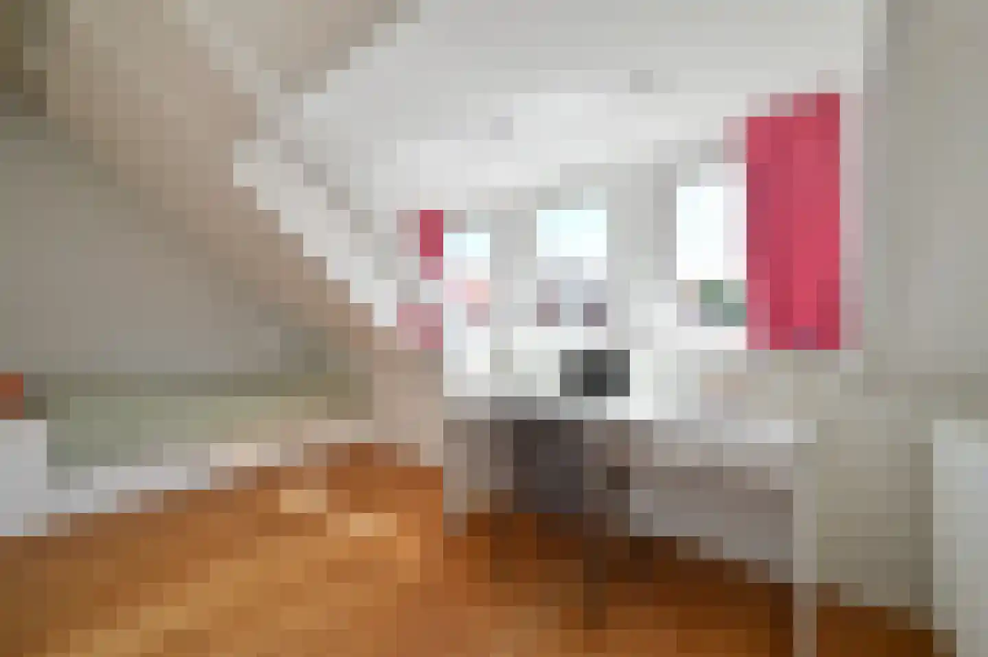 Turfpoortstraat 48 A Naarden thumbnail 23