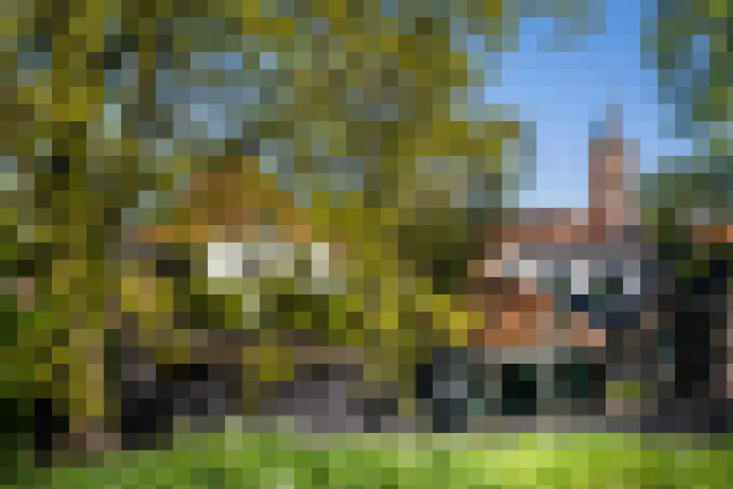 Turfpoortstraat 53 Naarden foto 3