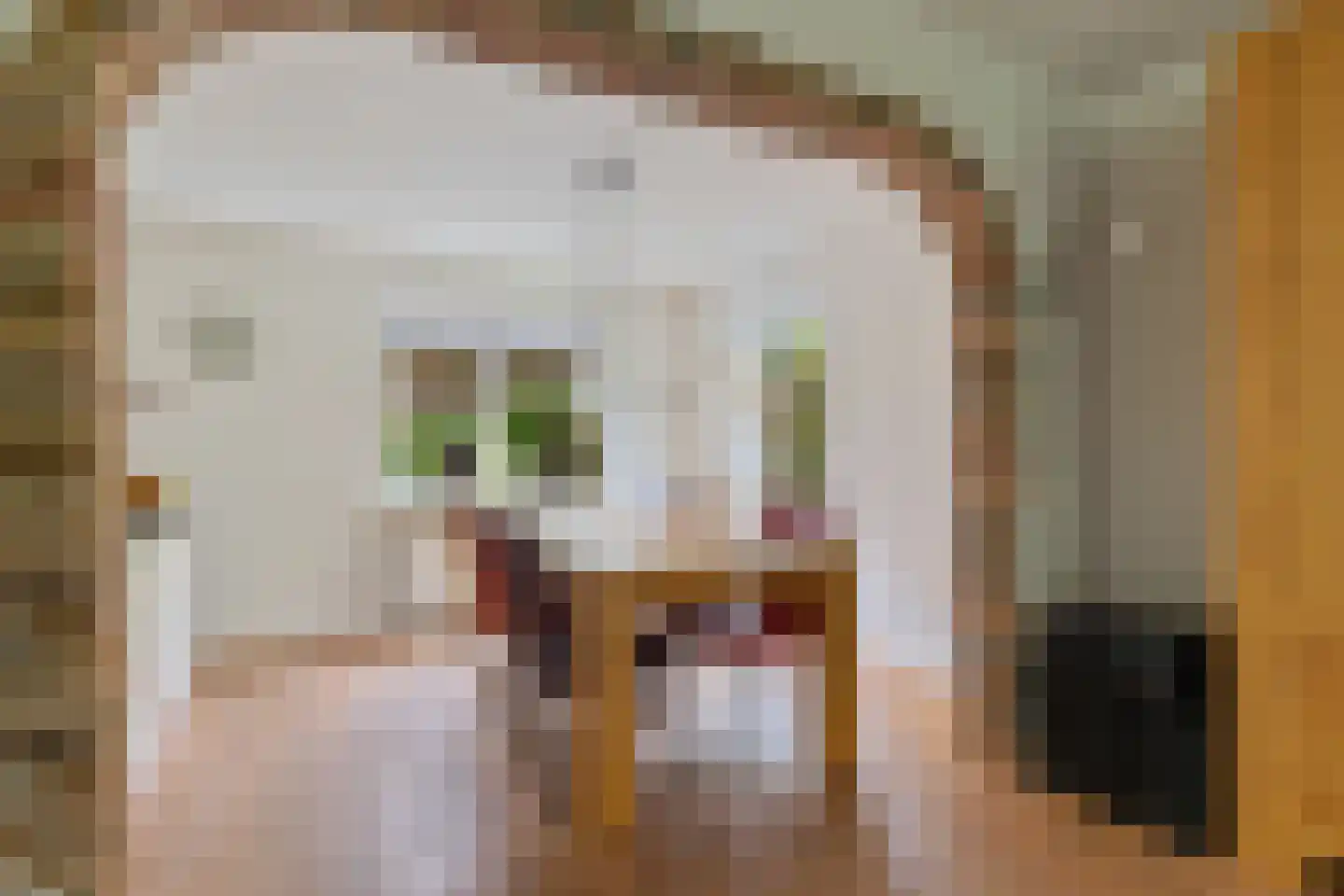 Turfring 22 Tolbert thumbnail 14
