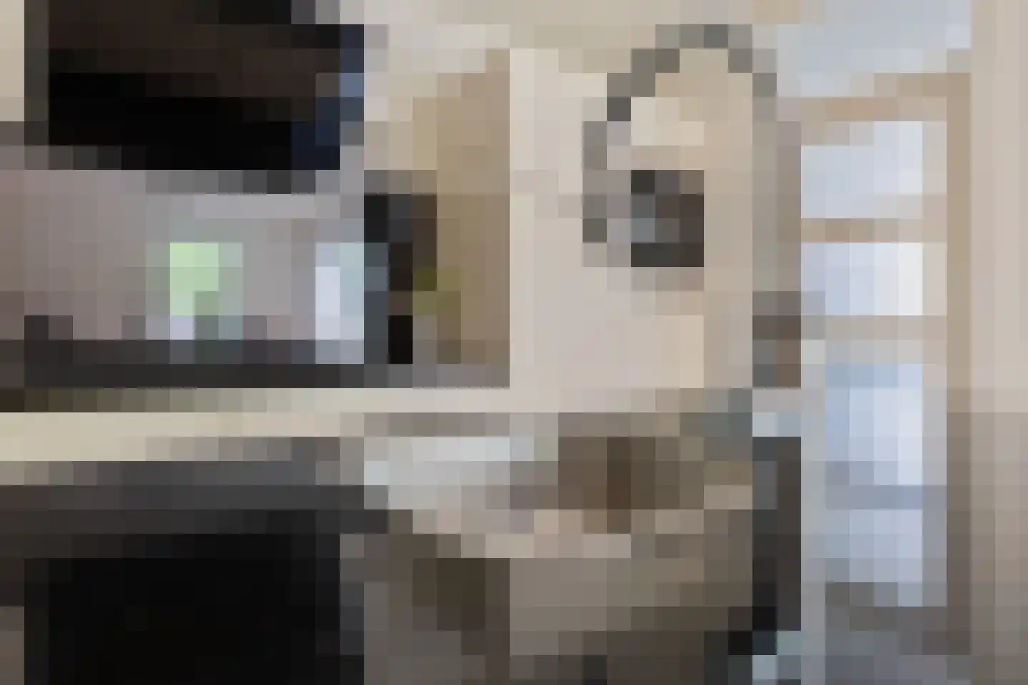 Turfring 22 Tolbert thumbnail 17