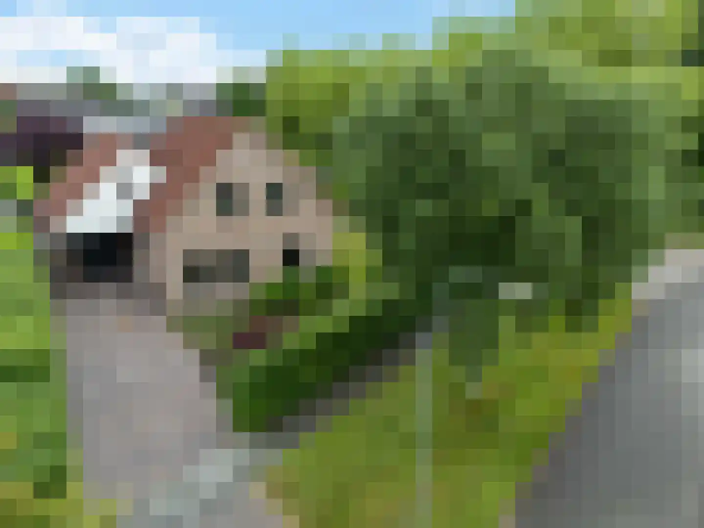 Turfring 22 Tolbert thumbnail 31