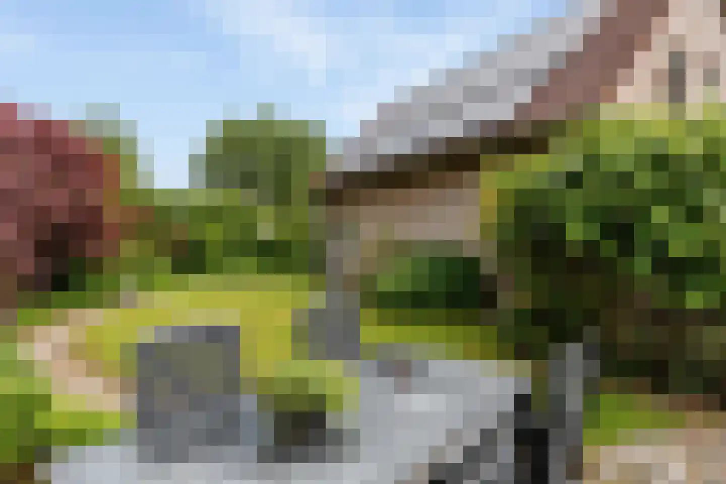 Turfring 22 Tolbert thumbnail 33