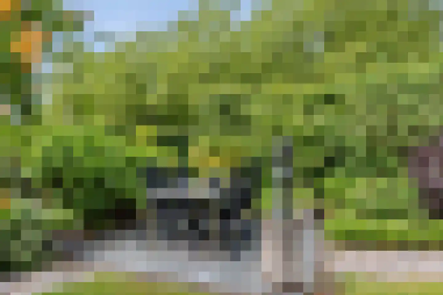 Turfring 22 Tolbert thumbnail 34