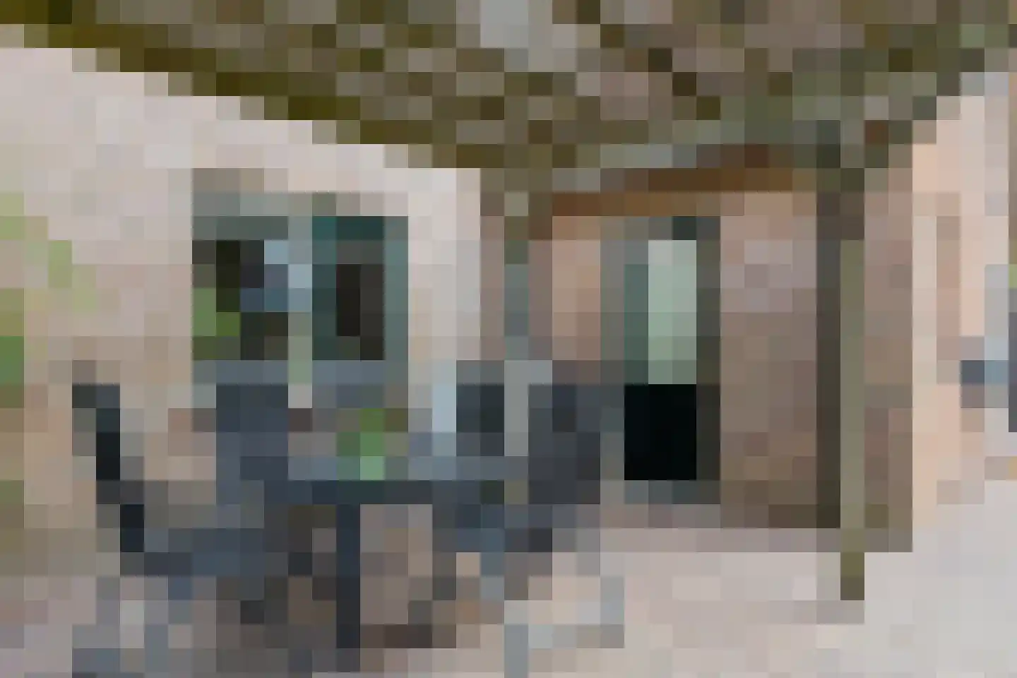 Turfring 22 Tolbert thumbnail 35