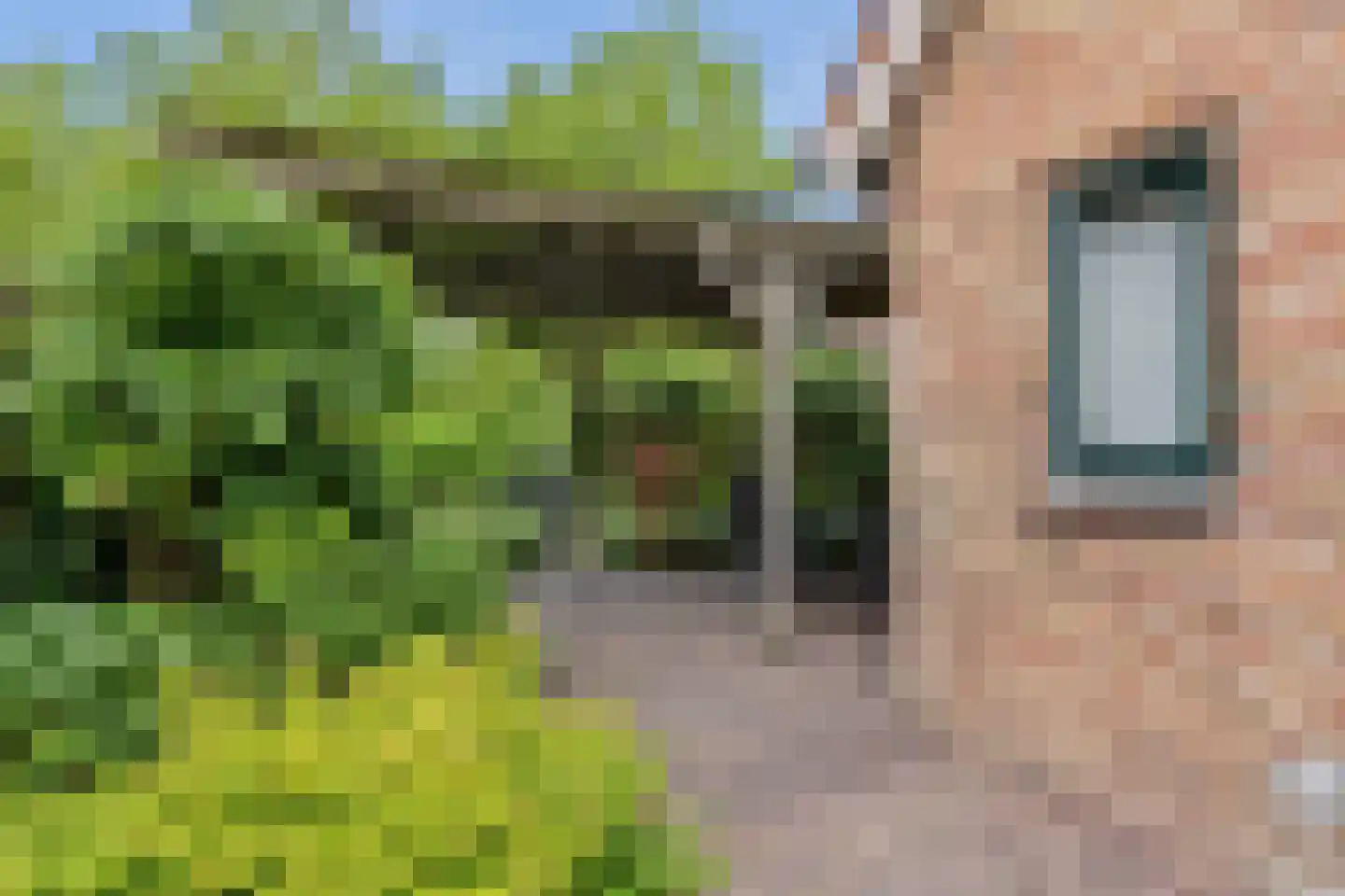 Turfring 22 Tolbert thumbnail 36