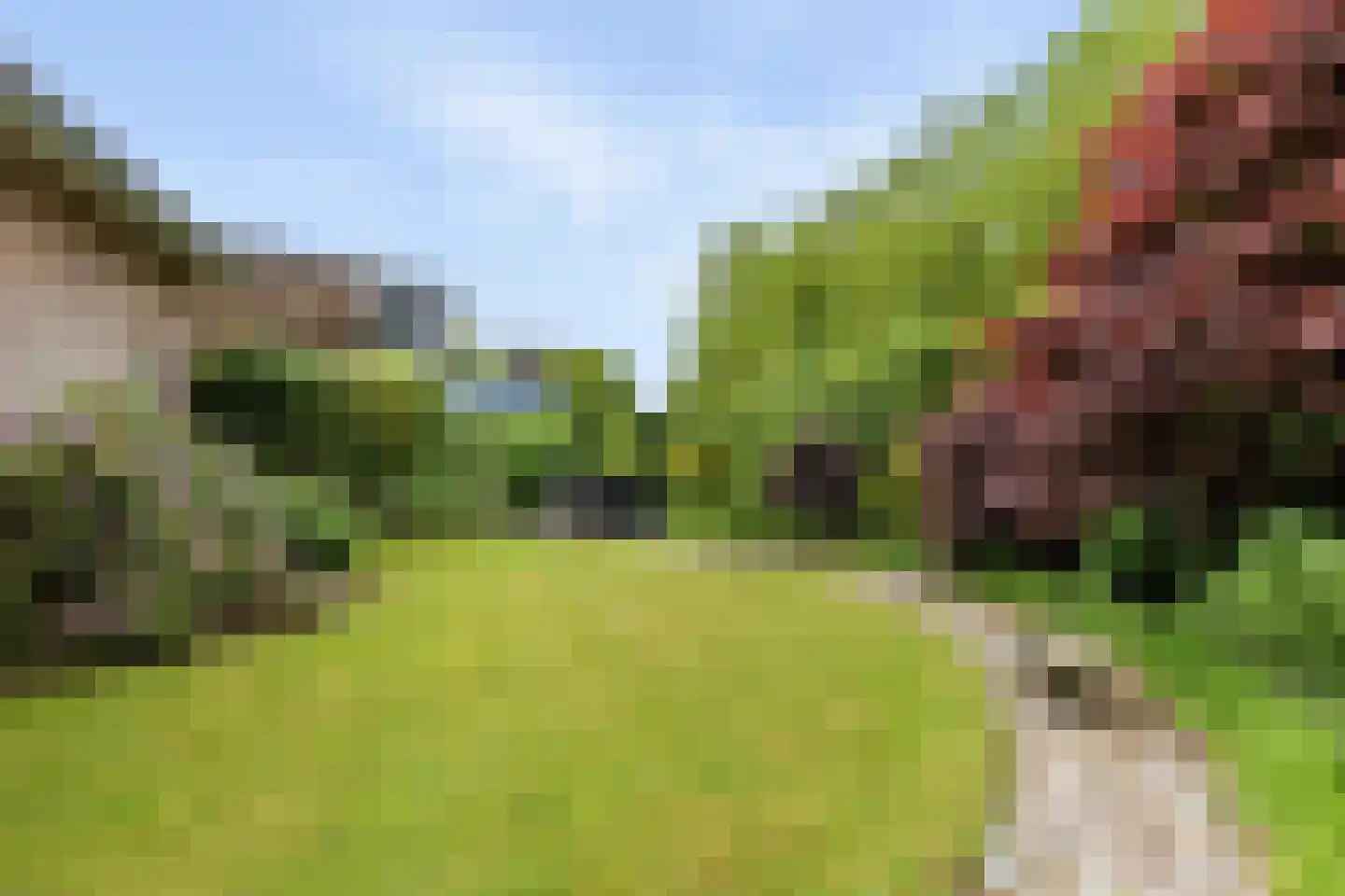 Turfring 22 Tolbert thumbnail 37