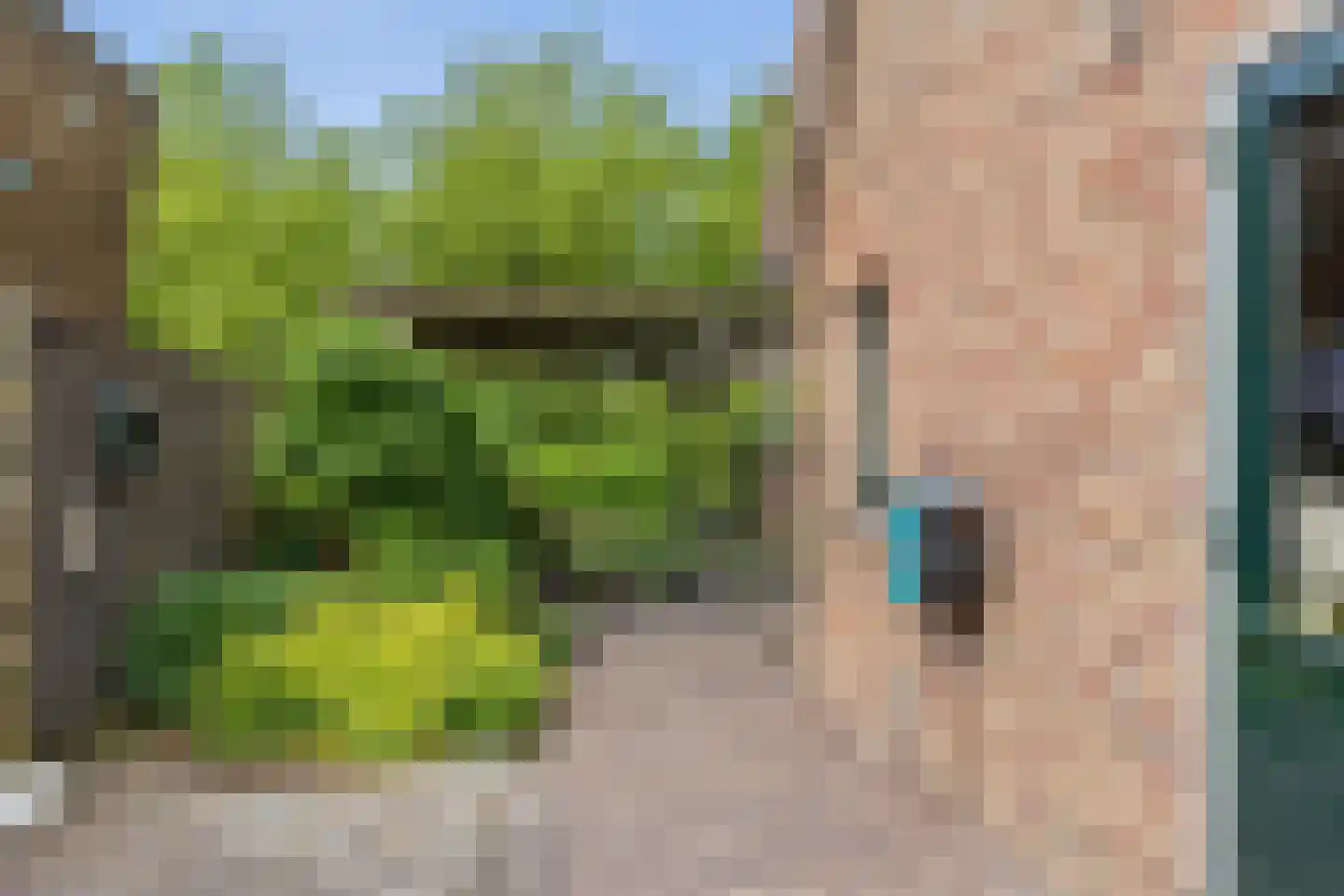 Turfring 22 Tolbert thumbnail 39