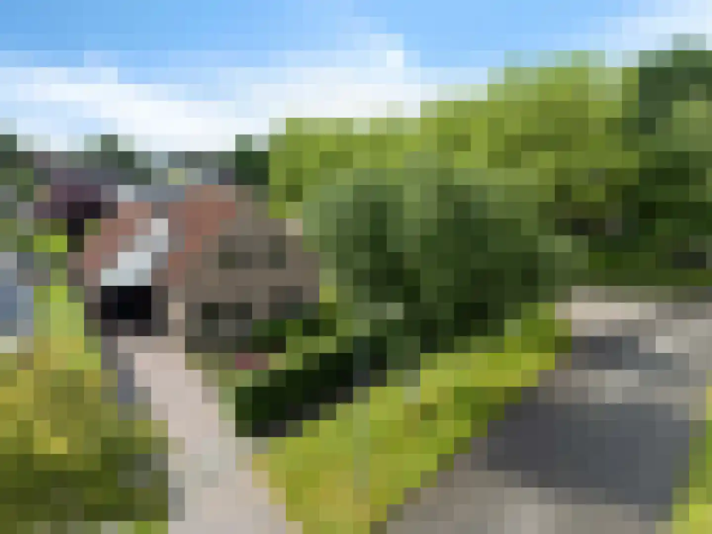Turfring 22 Tolbert thumbnail 44