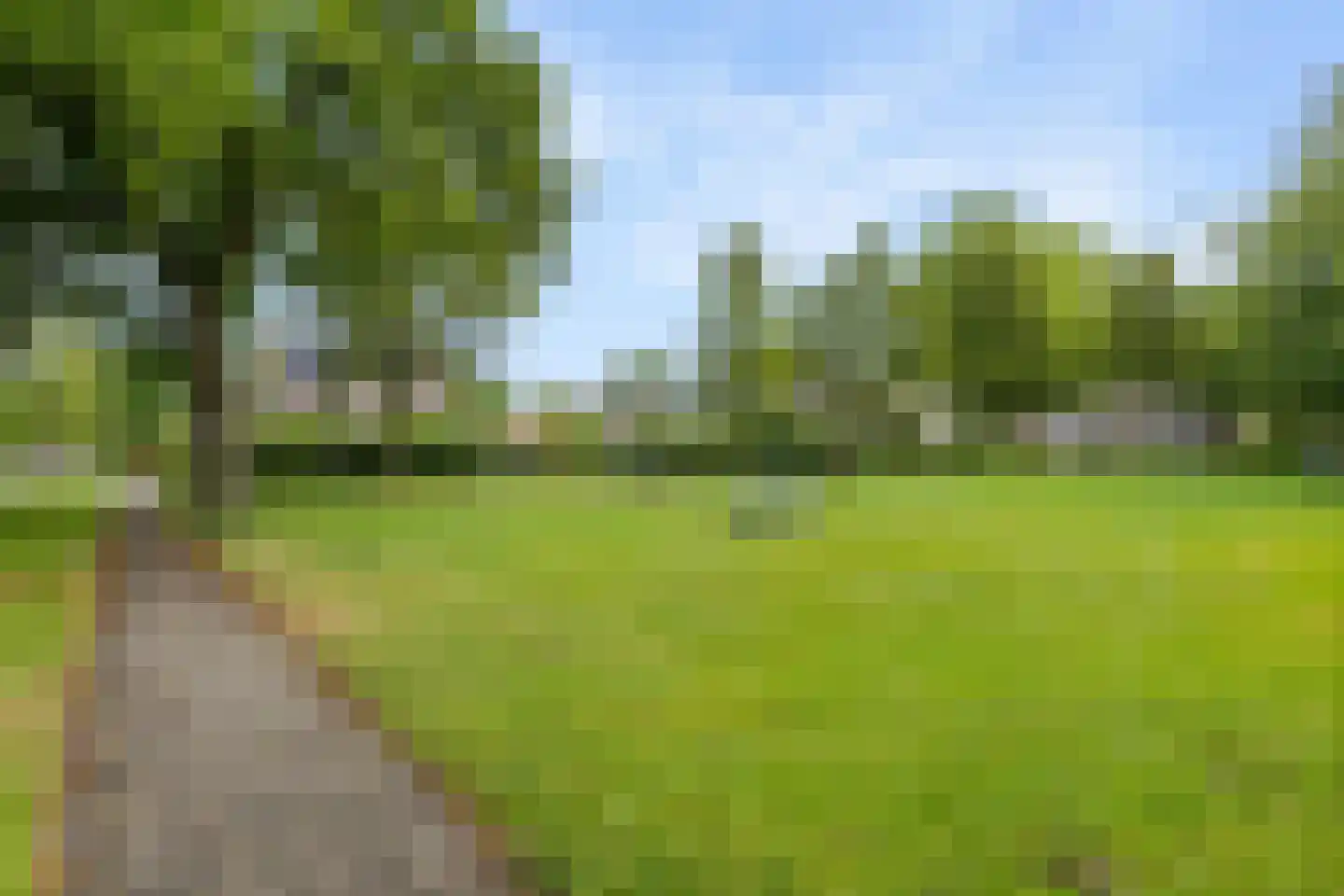 Turfring 22 Tolbert thumbnail 46