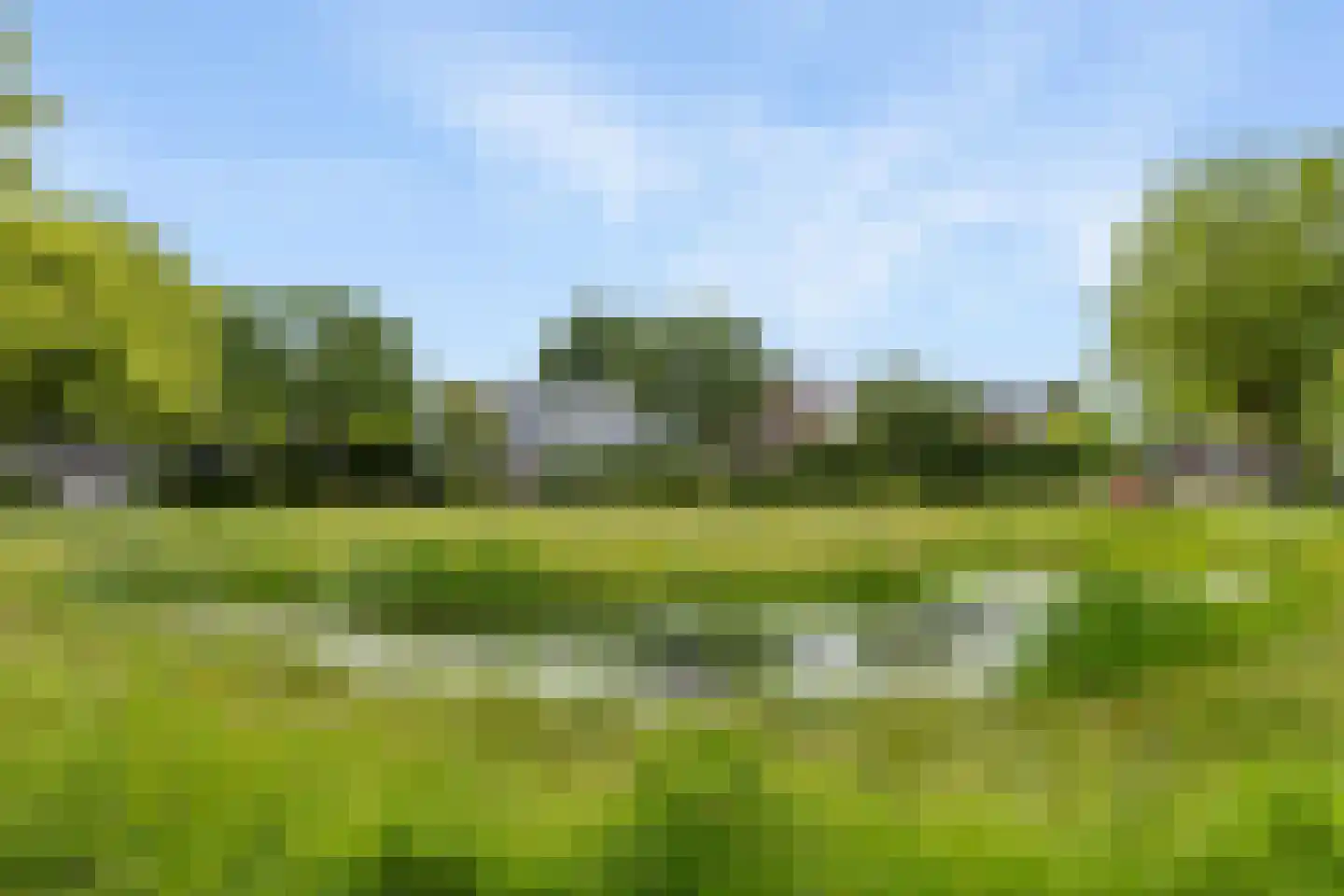 Turfring 22 Tolbert thumbnail 47