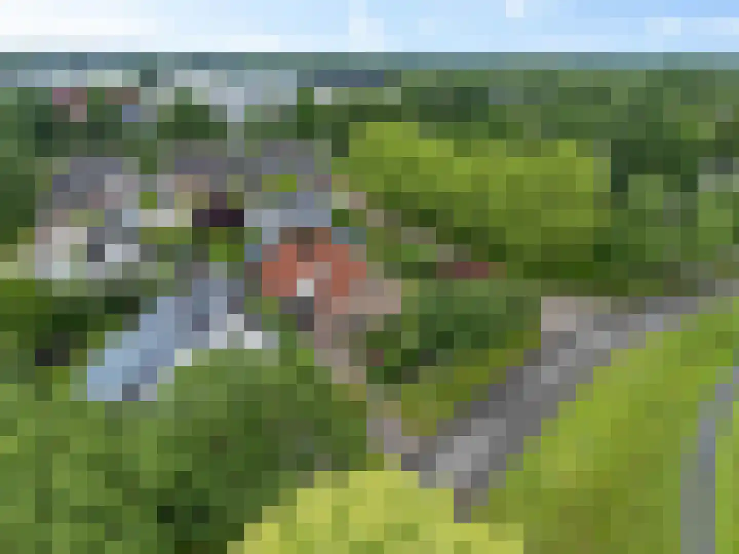 Turfring 22 Tolbert thumbnail 5