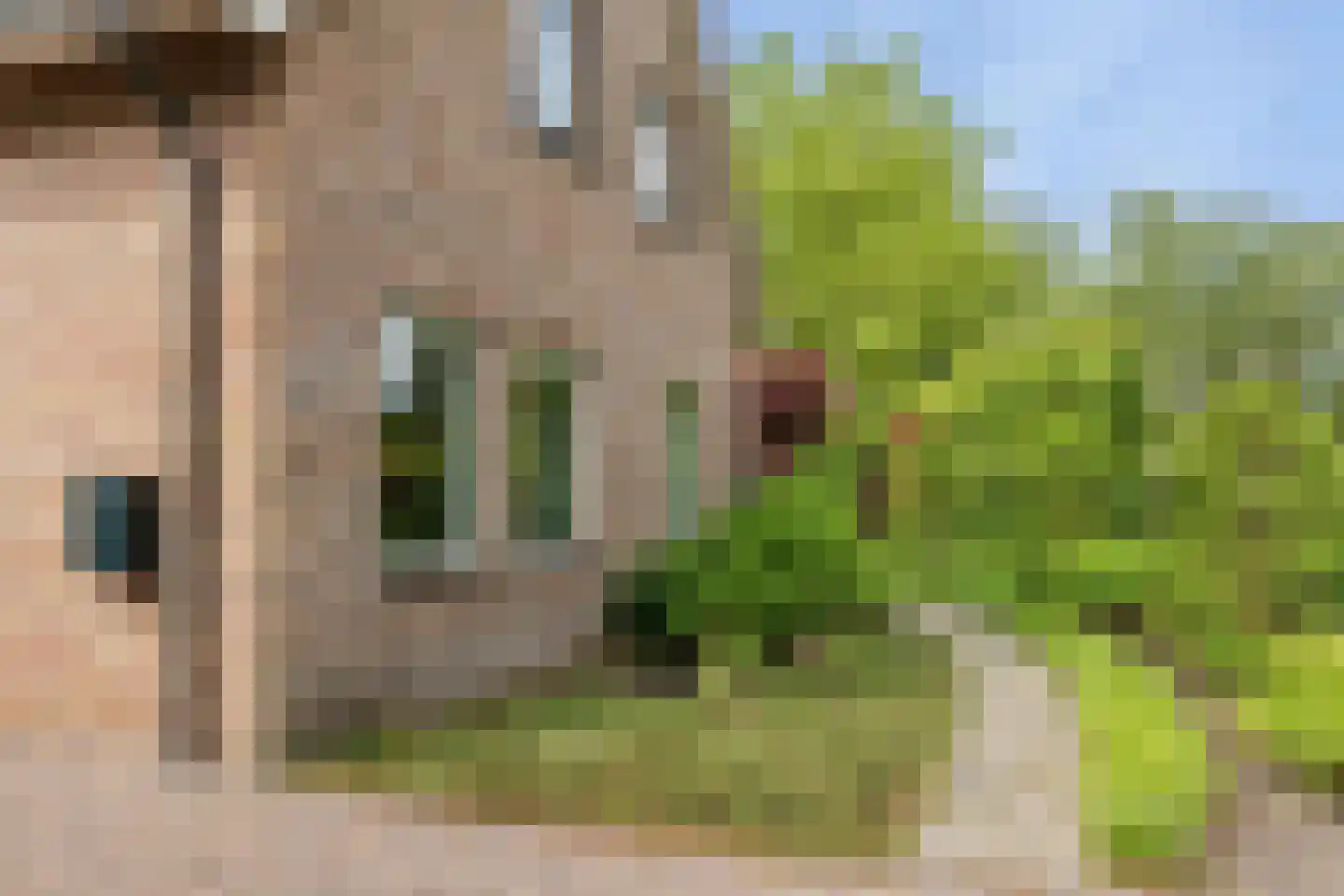 Turfring 22 Tolbert thumbnail 7